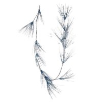 ������� ������������ ��������, L125 ��