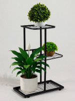 ��������� ��� ������ Greengo, 3 �����, 43 22 57 ��, ���������, ������, ������