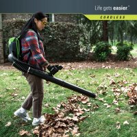    Greenworks 60v Gd60bpb, , 