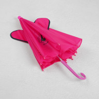 ���� ������� ������������ ���������, R � 24 ��, � ������, ���� ����