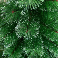     .  , 120 , D   80 , 110  