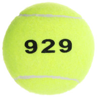      929, ,  , 3 .