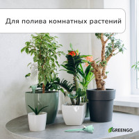      , ,  , ,  17.5 , , Greengo