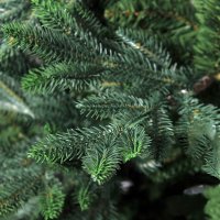   Royal Christmas Delaware Premium Pe/pvc 180