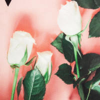 ����� ���������� �����: ��������� 40 73 ��, �������