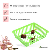   , , 25 20 , , Greengo