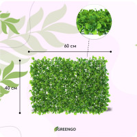  , 60 40 , , Greengo