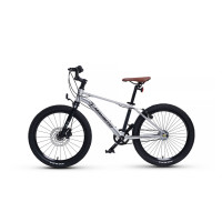  20 Maxiscoo 7bike M700,  