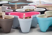  Ive Planter,  
