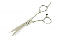    Stellite Alloy 555 (5.5)