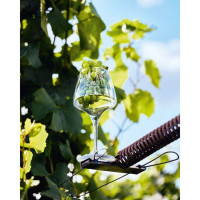    Chef&sommelier Open Up, 320 , 