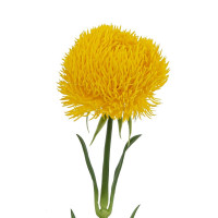 ������ ������������� �������, L8 W8 H50,5 ��, 2�.