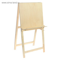   , 100  50  55 ,  50  50 ,    ,  , Calligrata