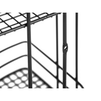 ����� �������