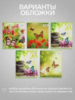  36    Calligrata ,  , 