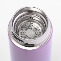 , 500 , Basic " ",  ,   ,   8 