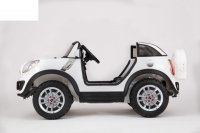 Mini Beachcomber (  ) 