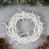   10 , Ip44,  , 100 Led,  , 8 , 220 