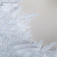     . , 180 , D   125 , 972   