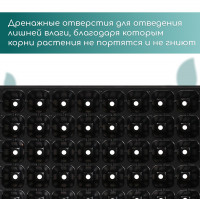   , 50   75 , , , 56 29.5 4 , Greengo