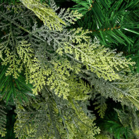    .  , 240 , D   155 , 1650   