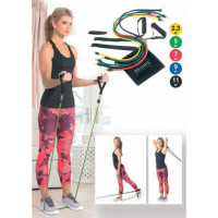    Bradex  
