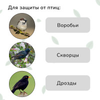  , , 5 2 ,  15 15 ,  , Greengo
