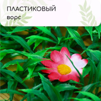  , 60 40 ,   , Greengo