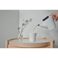 ������ ���������� Viva Scandinavia Infusion, � ��������, 1 �