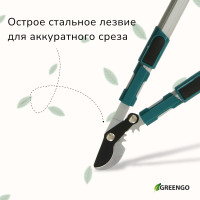  , 26.4 37 (67.5 94 ), ,   , , Greengo