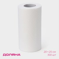      , 100 , 20x25 ,  