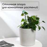 ������� ��� �������� ��������, H=30 ��, D=3 ��, �����������, ������, Greengo