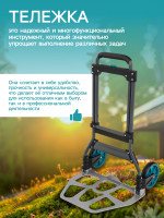   , ,   100 , , , Greengo