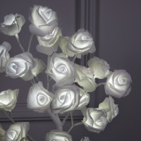     45 , 24 Led,  , 220 ,  