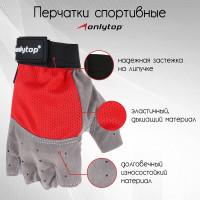   Onlytop, . M,  