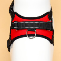  7  ,  S,  44-55 ,  5-9 , 