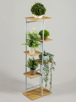    Greengo, 6 , 36 23 106 , ,  ,  , 