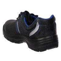    Prosafe Basic 23,  ,  41