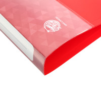   2  4, Calligrata, 25 , 700 ,    , 