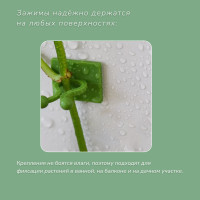    , , D=9 ,  , Greengo