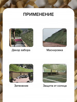  , 4 3 , , , Greengo