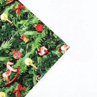 ����������� ������ ����������� ����, 70 � 100 ��, ���������