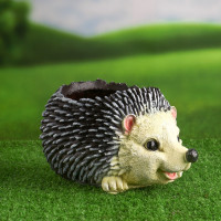 �������� ����� ��� ������ �����, 25 ��, ���������