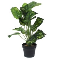 ��������� ����������, L50 W50 H66 ��