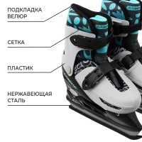 �����: ������ ������� ���������� Snow Cat, � ��������� ����������, ������, �. 30-33