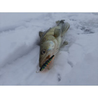  Lucky John Nordic 6, 6 ,  103