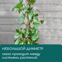    , H=60 , D=5 , , Greengo