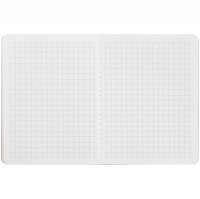 ������� Sandy, � ������, �����