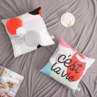    Moonlight 4040 , 100% /, 