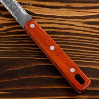 ��������� ��� ������ ��������� 42��, ������� 10�� � ���������� ������